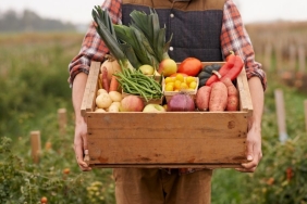 Organik Tarım Danışmanlığı (2)